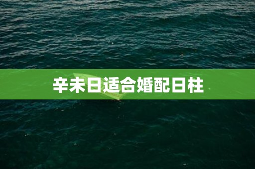 辛未日适合婚配日柱