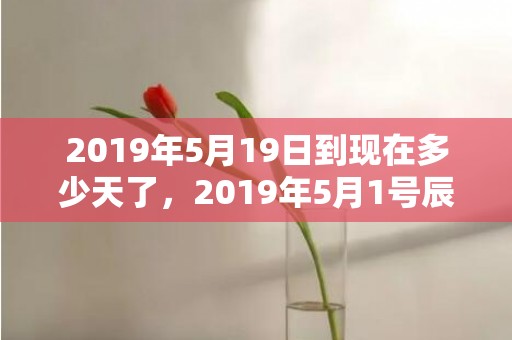2019年5月19日到现在多少天了，2019年5月1号辰时出生的女孩取名必看