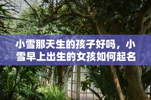 小雪那天生的孩子好吗，小雪早上出生的女孩如何起名字