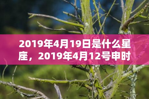 2019年4月19日是什么星座，2019年4月12号申时出生的女孩怎么起名？起什么名字合适？