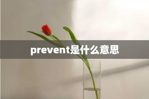 prevent是什么意思