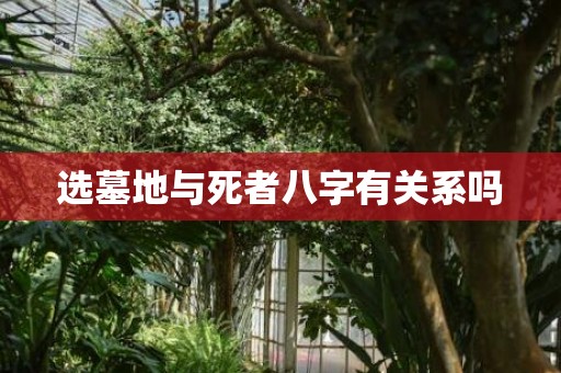 选墓地与死者八字有关系吗