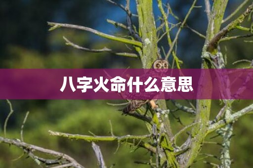八字火命什么意思