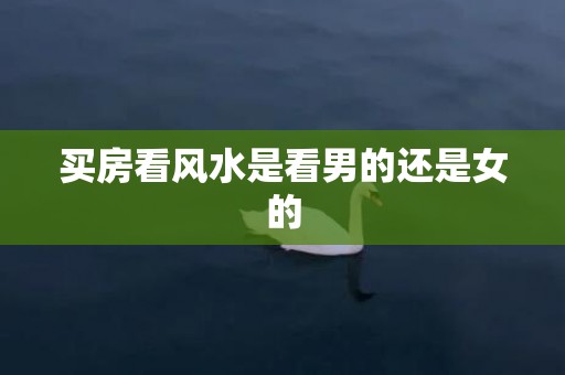 买房看风水是看男的还是女的