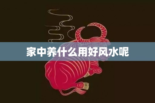 家中养什么用好风水呢