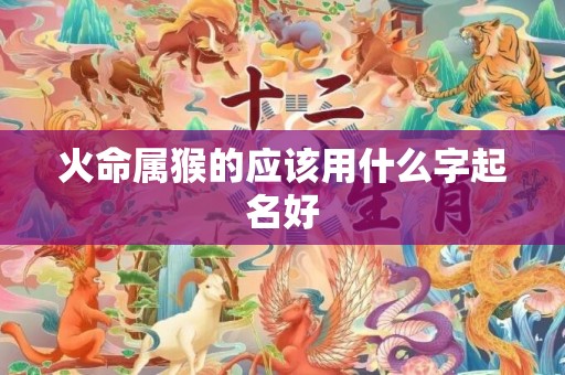 火命属猴的应该用什么字起名好