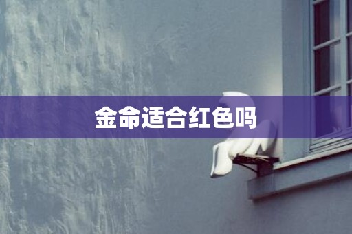 金命适合红色吗