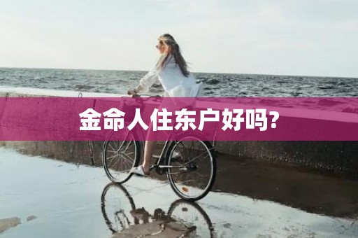 金命人住东户好吗?