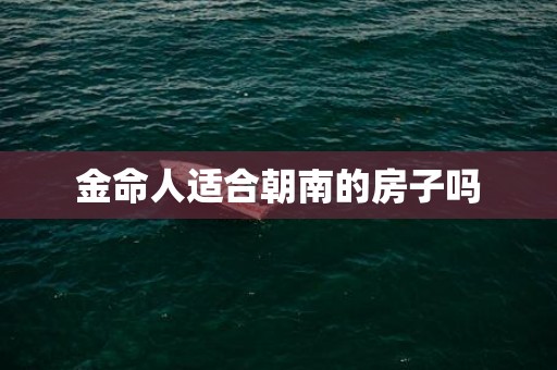 金命人适合朝南的房子吗