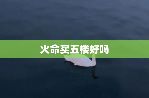 火命买五楼好吗