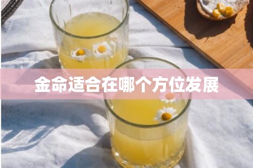 金命适合在哪个方位发展
