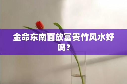 金命东南面放富贵竹风水好吗？