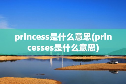 princess是什么意思(princesses是什么意思)