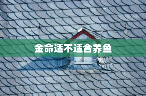 金命适不适合养鱼