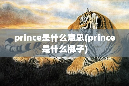 prince是什么意思(prince是什么牌子)