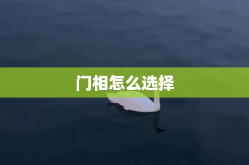 门相怎么选择