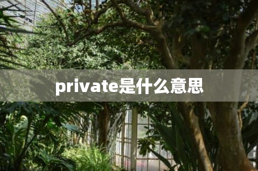private是什么意思