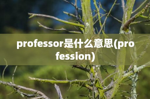 professor是什么意思(profession)