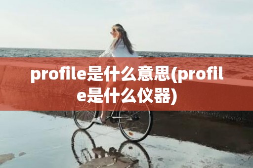 profile是什么意思(profile是什么仪器)