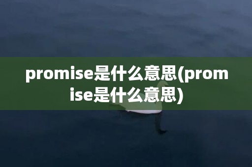 promise是什么意思(promise是什么意思)