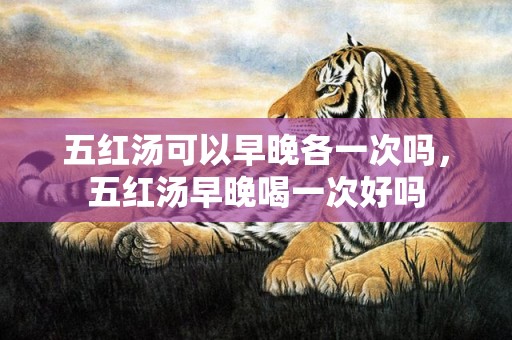 五红汤可以早晚各一次吗，五红汤早晚喝一次好吗