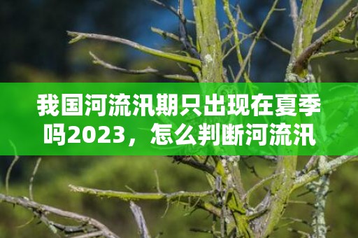 我国河流汛期只出现在夏季吗2023，怎么判断河流汛期季节