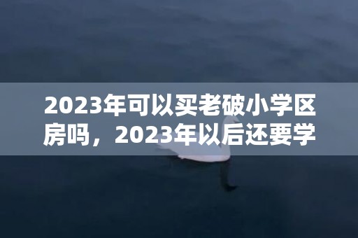 2023年可以买老破小学区房吗，2023年以后还要学区房吗