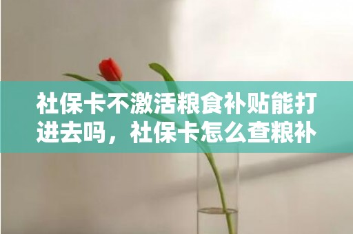 社保卡不激活粮食补贴能打进去吗，社保卡怎么查粮补