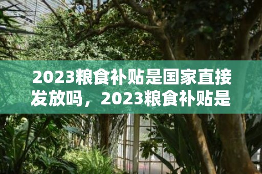 2023粮食补贴是国家直接发放吗，2023粮食补贴是国家直接发放吗