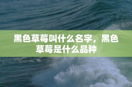 黑色草莓叫什么名字，黑色草莓是什么品种