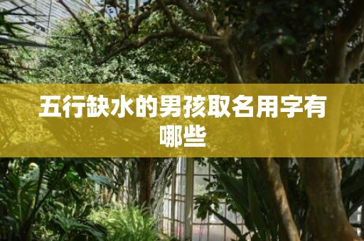 五行缺水的男孩取名用字有哪些