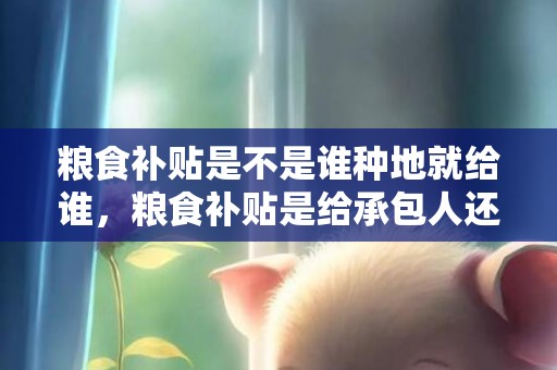 粮食补贴是不是谁种地就给谁，粮食补贴是给承包人还是耕种人