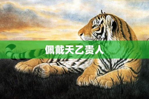 佩戴天乙贵人