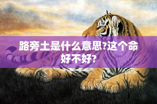 路旁土是什么意思?这个命好不好?