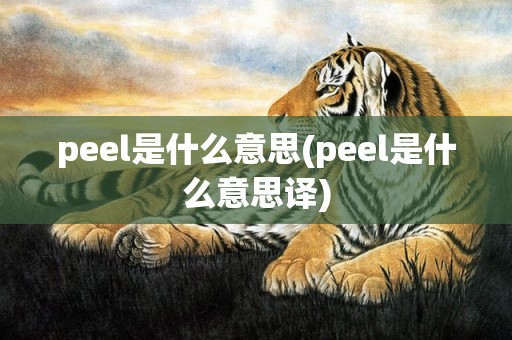 peel是什么意思(peel是什么意思译)