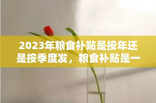 2023年粮食补贴是按年还是按季度发，粮食补贴是一年发一次还是两次