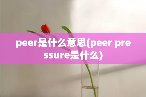 peer是什么意思(peer pressure是什么)