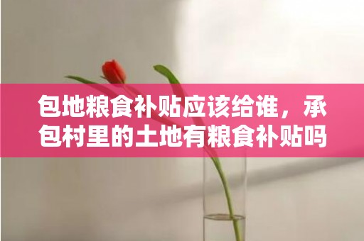包地粮食补贴应该给谁，承包村里的土地有粮食补贴吗