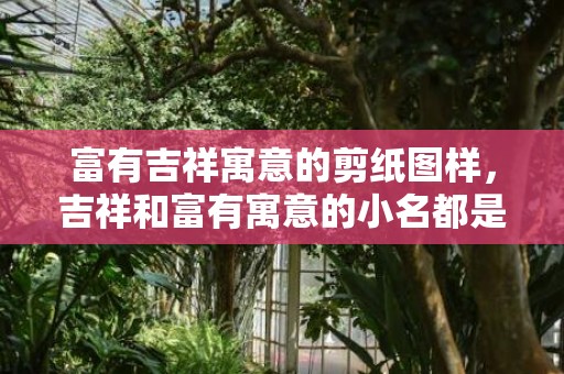 富有吉祥寓意的剪纸图样，吉祥和富有寓意的小名都是有哪些