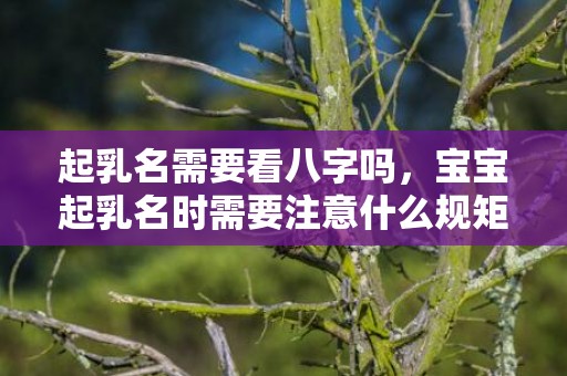 起乳名需要看八字吗，宝宝起乳名时需要注意什么规矩和禁忌