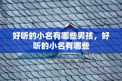 好听的小名有哪些男孩，好听的小名有哪些