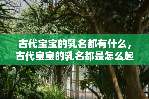 古代宝宝的乳名都有什么，古代宝宝的乳名都是怎么起的