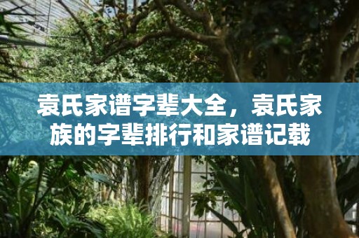 袁氏家谱字辈大全，袁氏家族的字辈排行和家谱记载