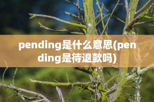 pending是什么意思(pending是待退款吗)