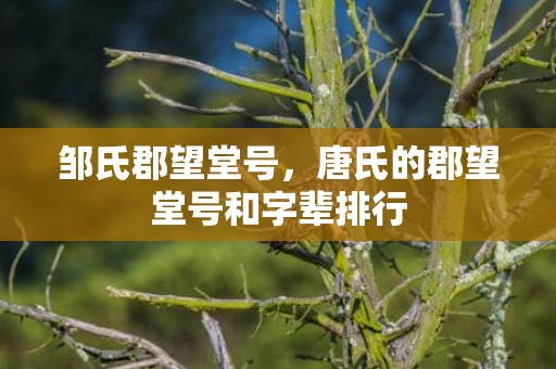 邹氏郡望堂号，唐氏的郡望堂号和字辈排行