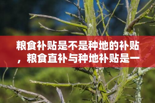 粮食补贴是不是种地的补贴，粮食直补与种地补贴是一回事吗