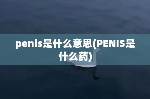 penis是什么意思(PENIS是什么药)
