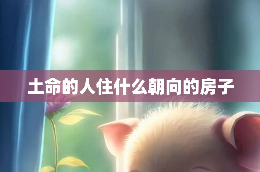土命的人住什么朝向的房子