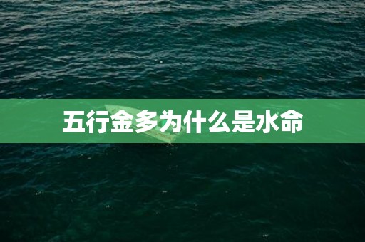 五行金多为什么是水命