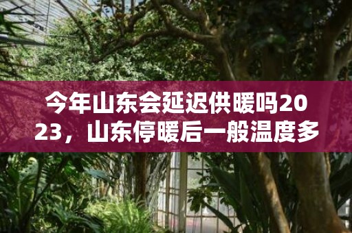 今年山东会延迟供暖吗2023，山东停暖后一般温度多少